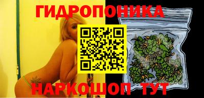 apvp Лесосибирск